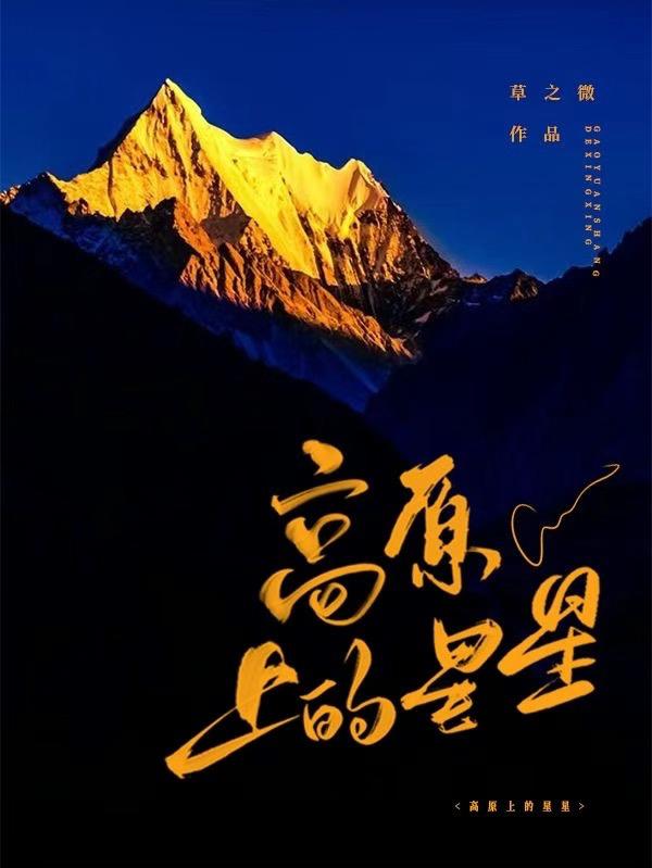 高原上的小花