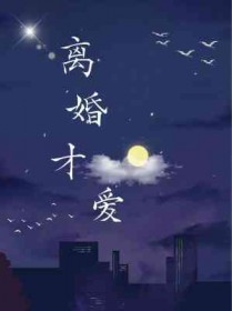离婚才知道是妻子的小说